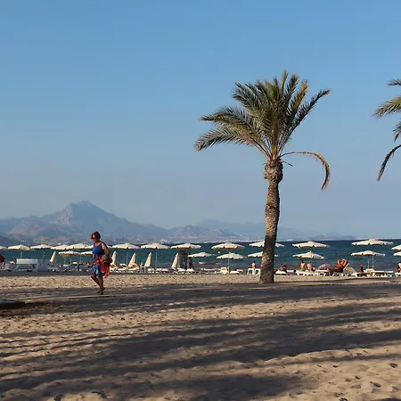 Playa Muchavista El Campello